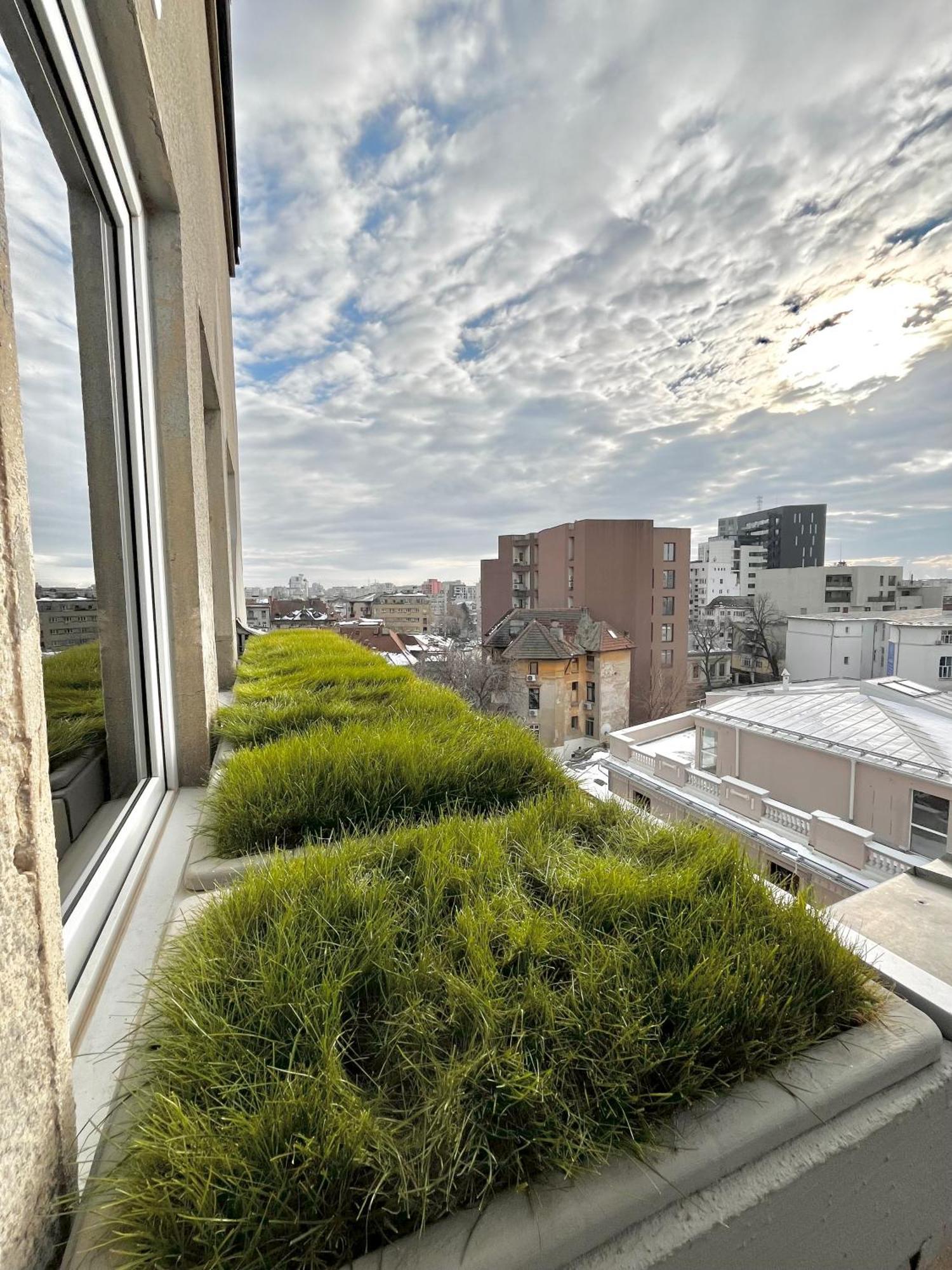 Terrace View Downtown Studio Bukares Bagian luar foto